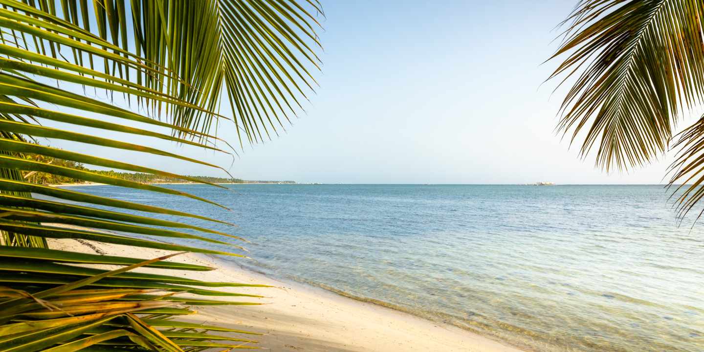 karibik-dominikanische_republik-saona_island-g-1475077624.jpg