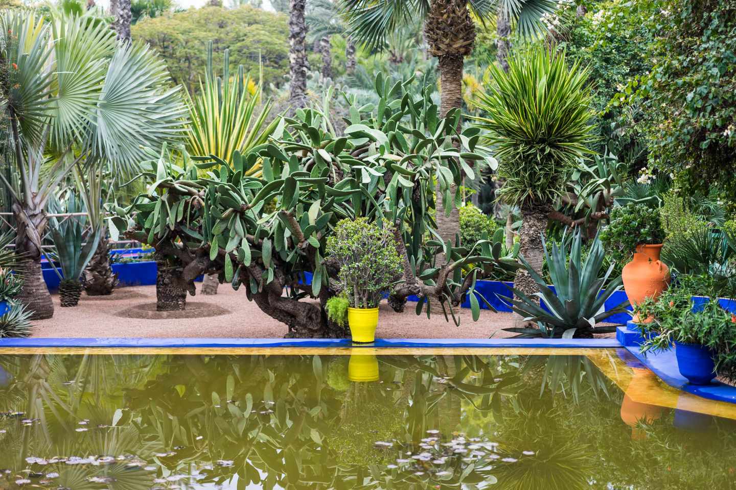 blt7b3792a5d4e42eda-afrika-jardin-majorelle-g-485371366.jpg Afrikas Sehenswürdigkeiten: der Jardin Majorelle in Marrakesch
