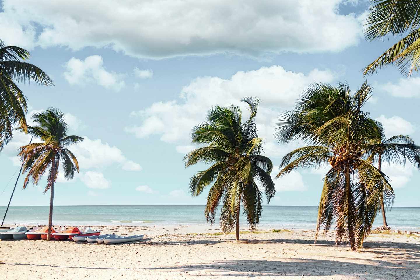Kuba-Varadero-Strand-mit-Palmen-g-1302772055.jpg