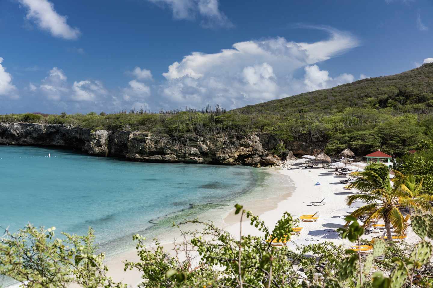 karibik-curacao-strand-grote-knip-g1128862303.jpg