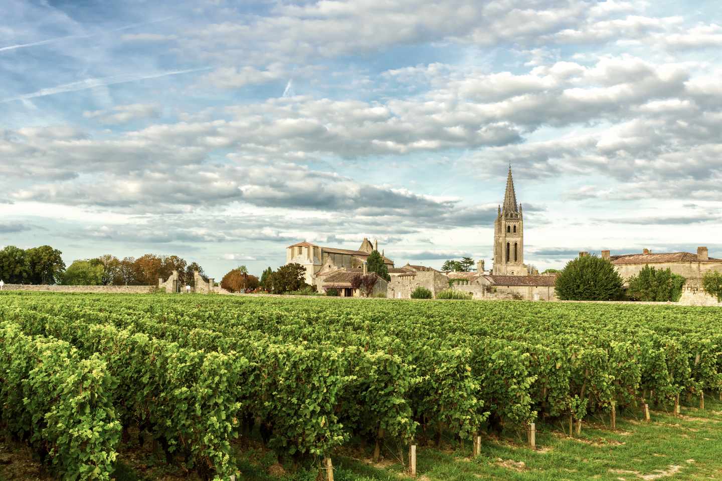 frankreich-atlantikkueste-bordeaux-saint-emilion-weinanbau-g-1047050912.jpg