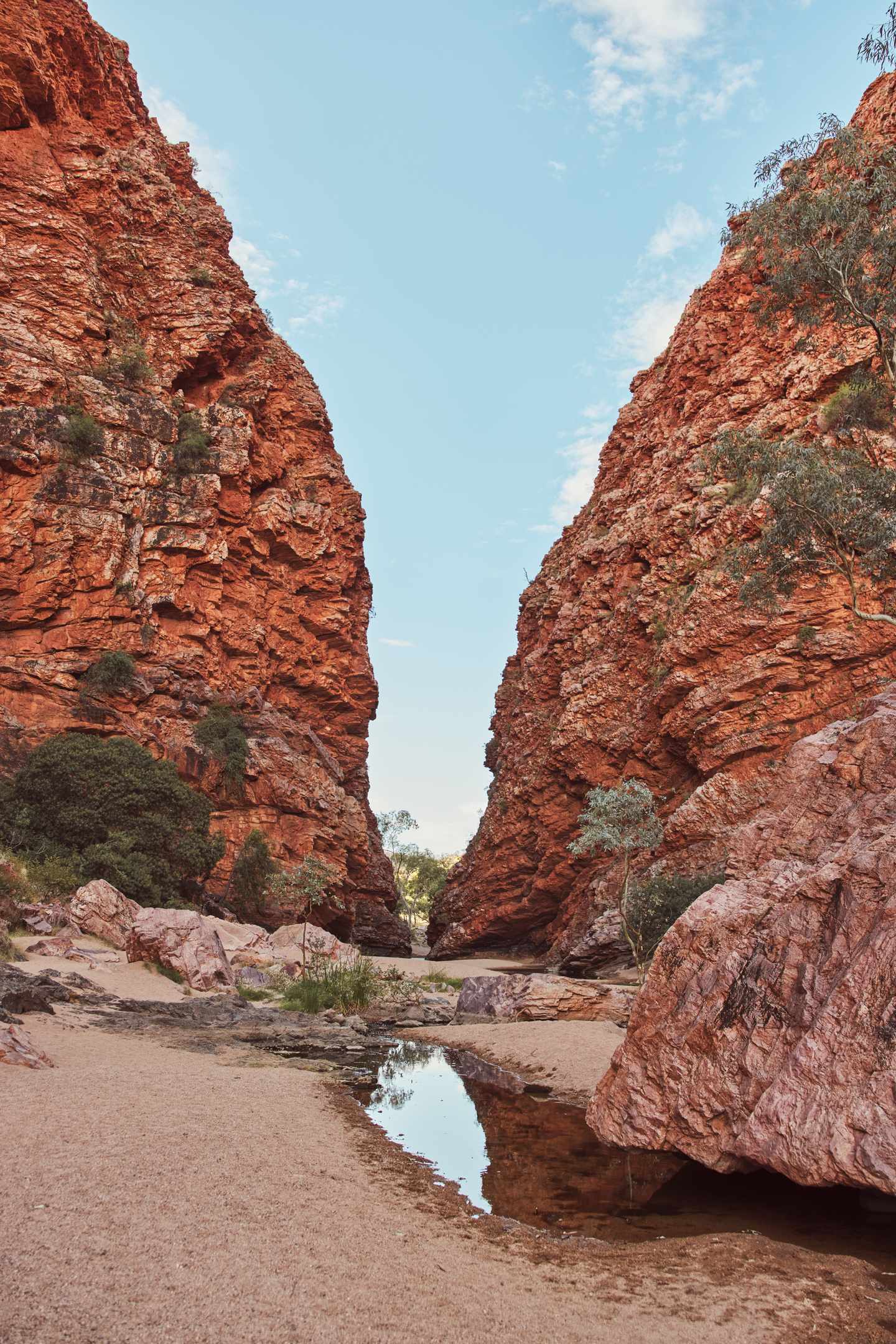 blt369d5b10697e661e-australien-northern-territory-pa-136125-56.jpg Northern-Territory-Sehenswürdigkeiten: Red Centre