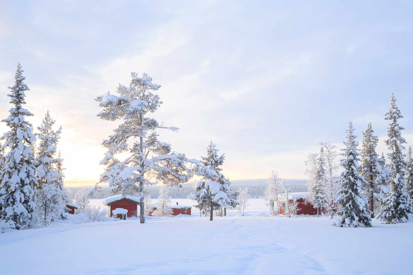 schweden-lappland-winter-laandschaft-g-163230005.jpg