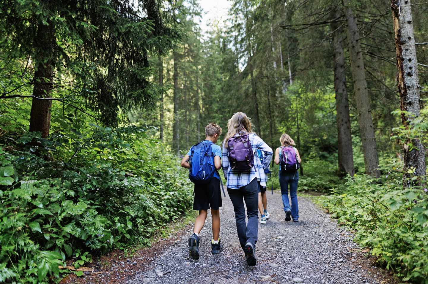 osterreich-tirol-familienwandern-in-den-oesterreichischen-bergen-g-1418996973.jpg
