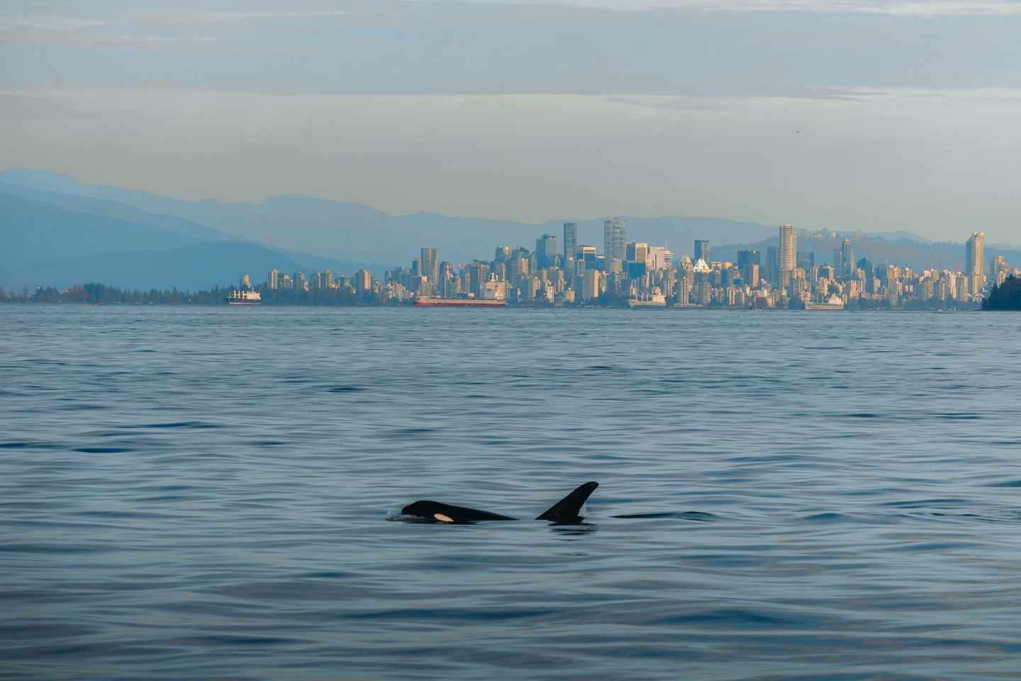 Vancouver