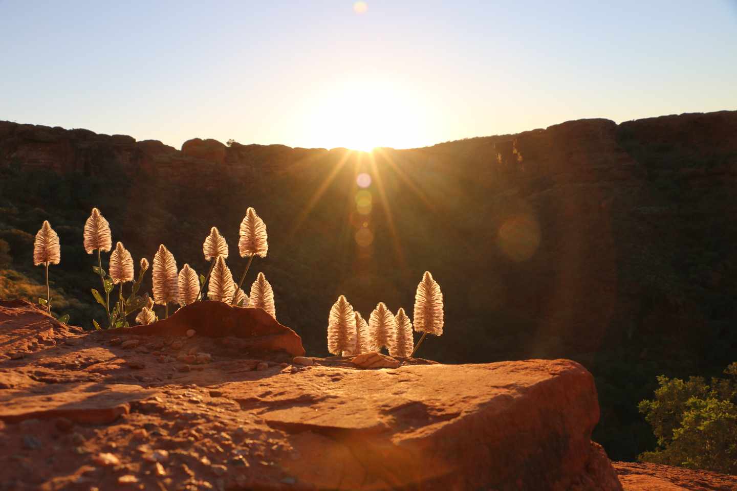bltd423864683f5ce26-GettyImages-617575024.jpg Northern-Territory-Sehenswürdigkeiten: Red Centre