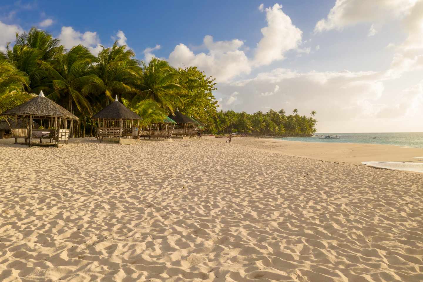 Hotel auf Sansibar: Palmen am Sandstrand