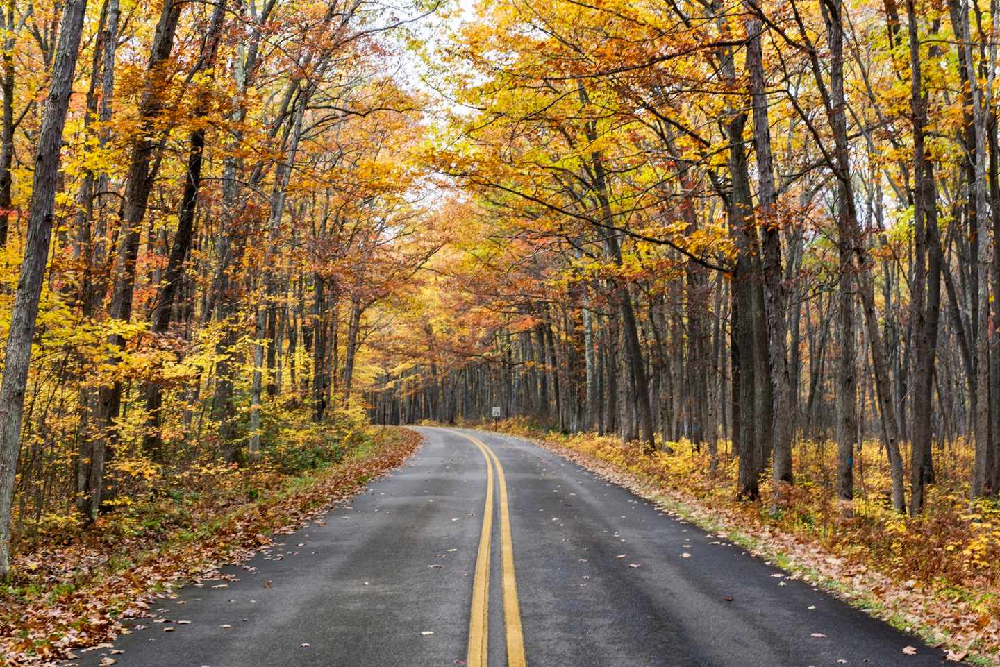 indian-summer-herbst-t-509787918.jpg