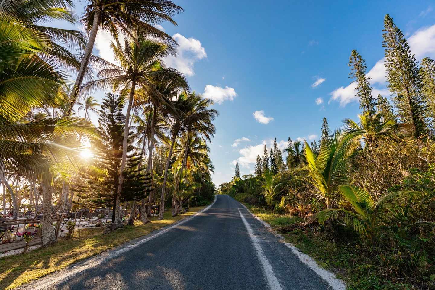 neukaledonien-island-country-road-g-586061538.jpg