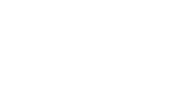 GoTurkiye_white_ohne-URL.png