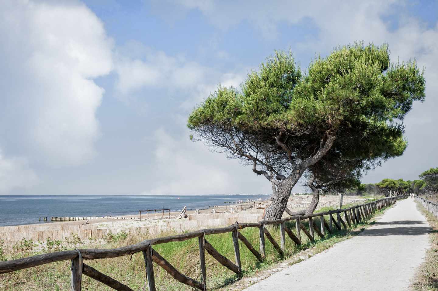 italien-adria-strand-bibione-g-852721146.jpg