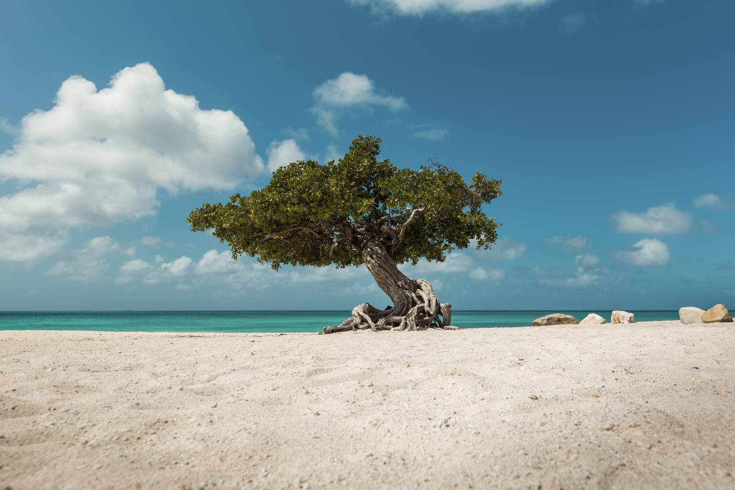 blt434ed9313f9d34ed-karibik-aruba-eagle-beach-dto.jpg karibik-aruba-eagle-beach-dto.jpg