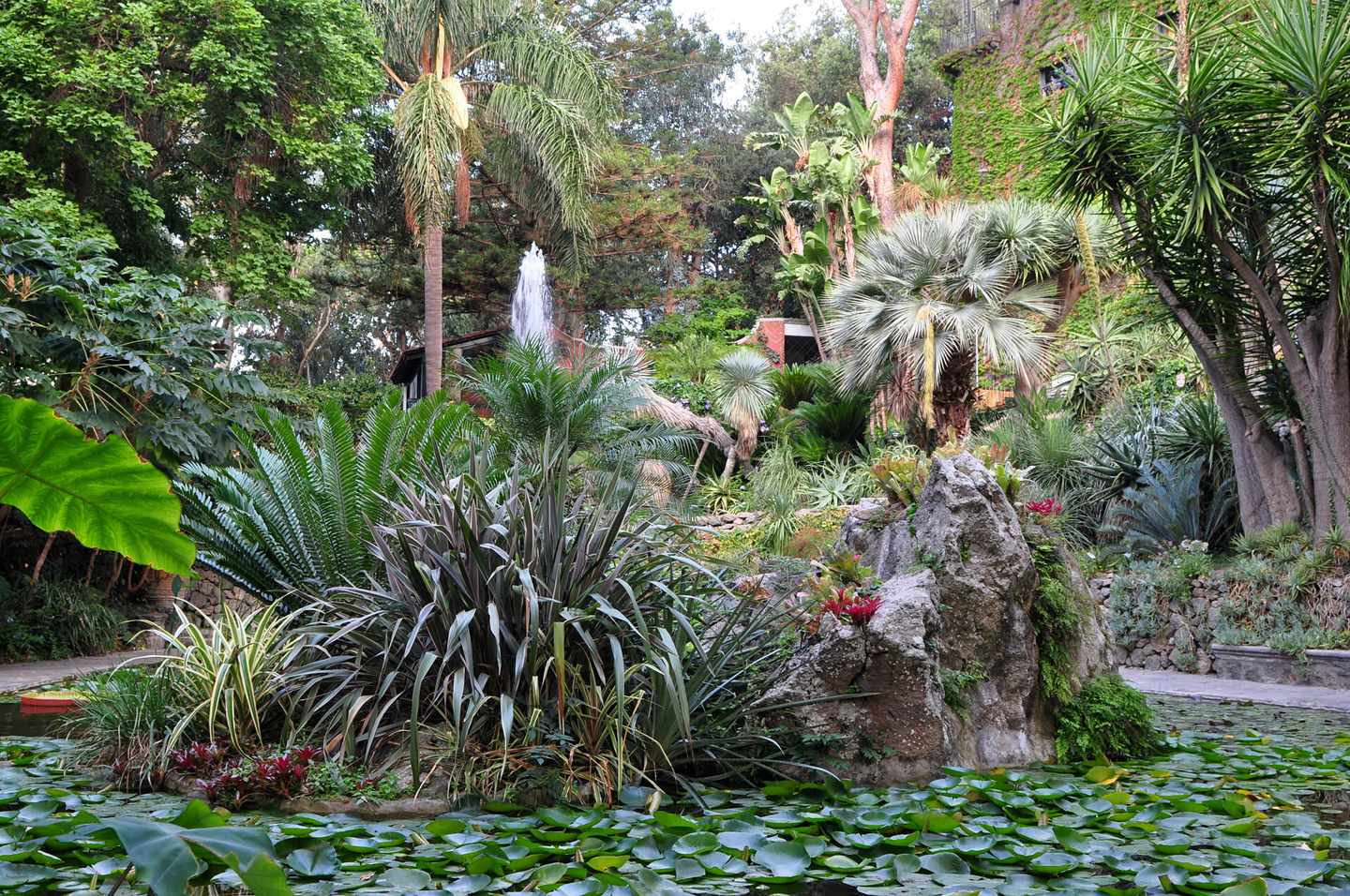 italien-ischia-la-mortella-garten-klein-g-185818095.jpg