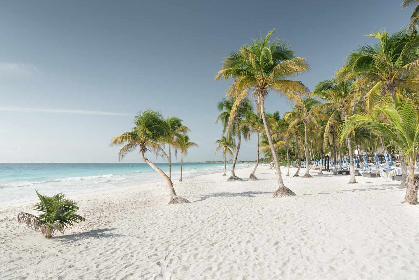 Nordamerika-Mexico-Tulum-Strand-g-629582468.jpg