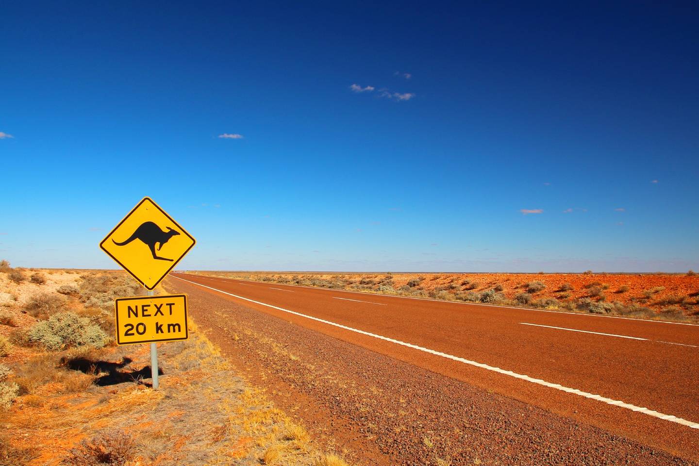 blt65f91778e71c2532-australien-kaenguru-schild-t-497866156.jpg australien-kaenguru-schild-t-497866156.jpg