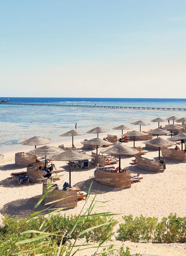 Langzeiturlaub Ägypten aegypten-marsa-alam-DER0909093.jpg