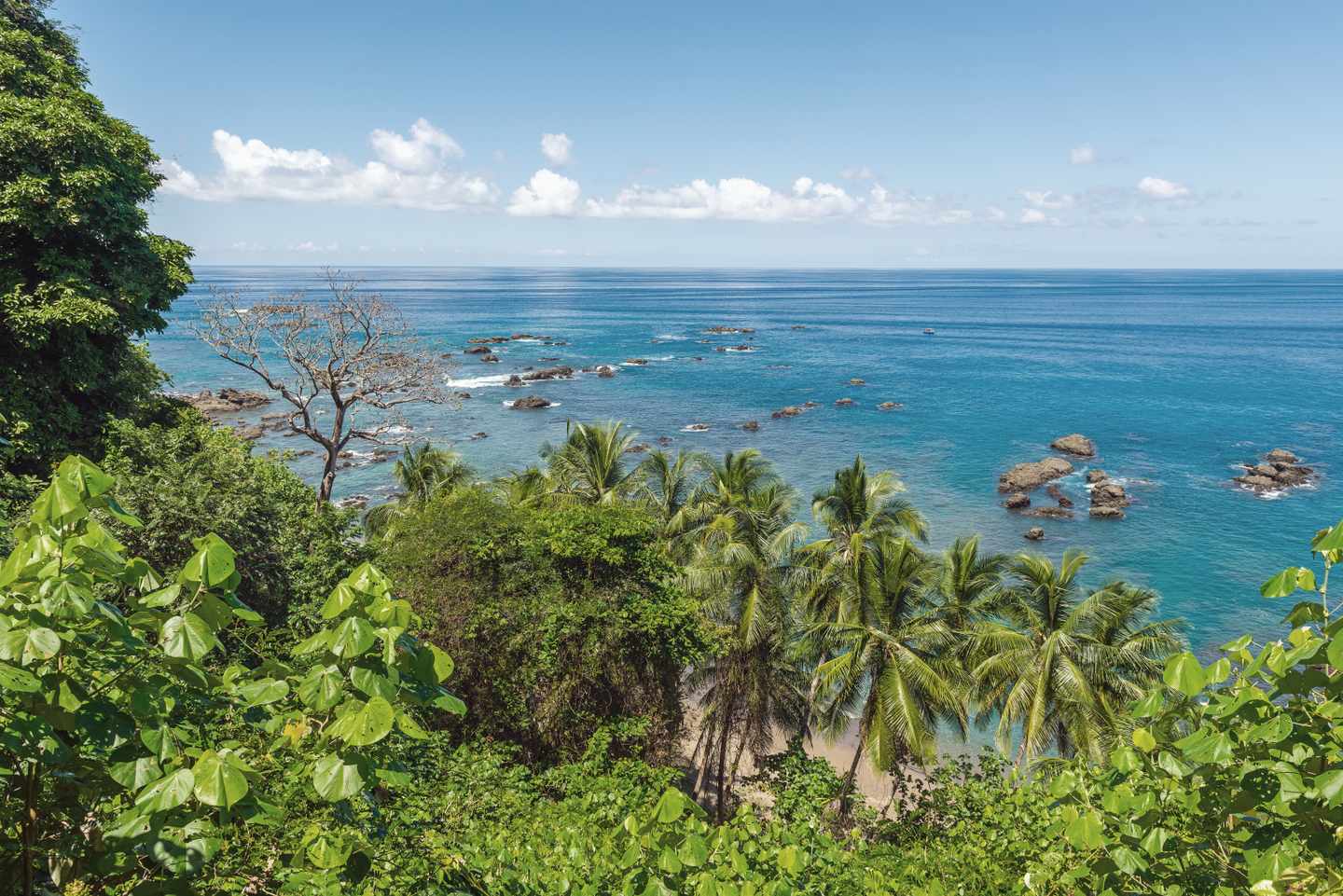 costa-rica-corcovado-nationalpark-cano-island-g-1331569612_v2.jpg