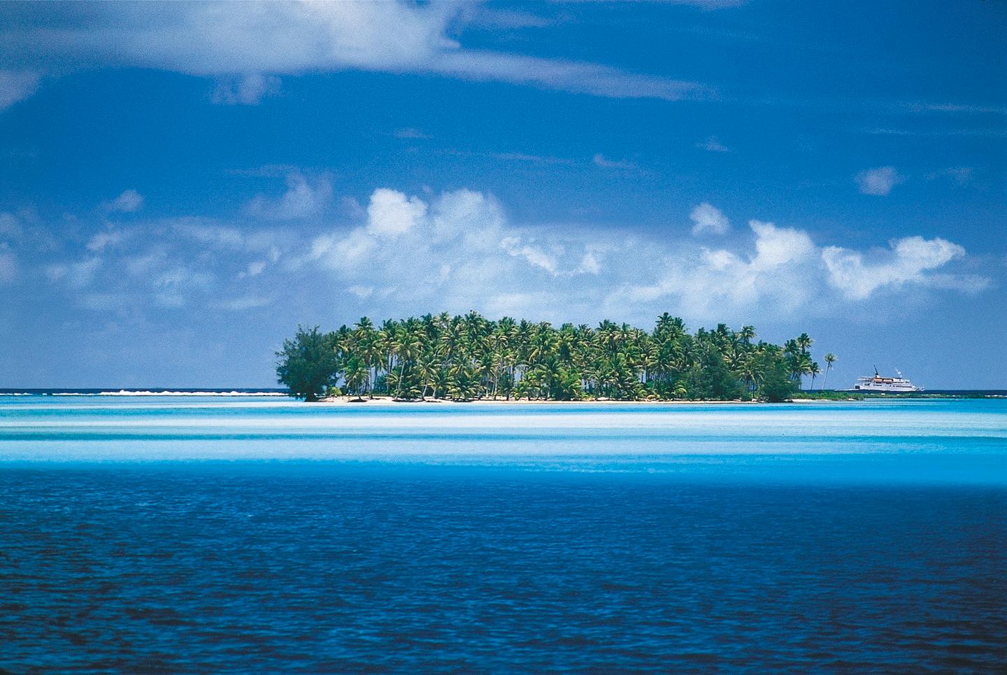 franz-polynesien-strand-palmen-p-MA01788.jpg