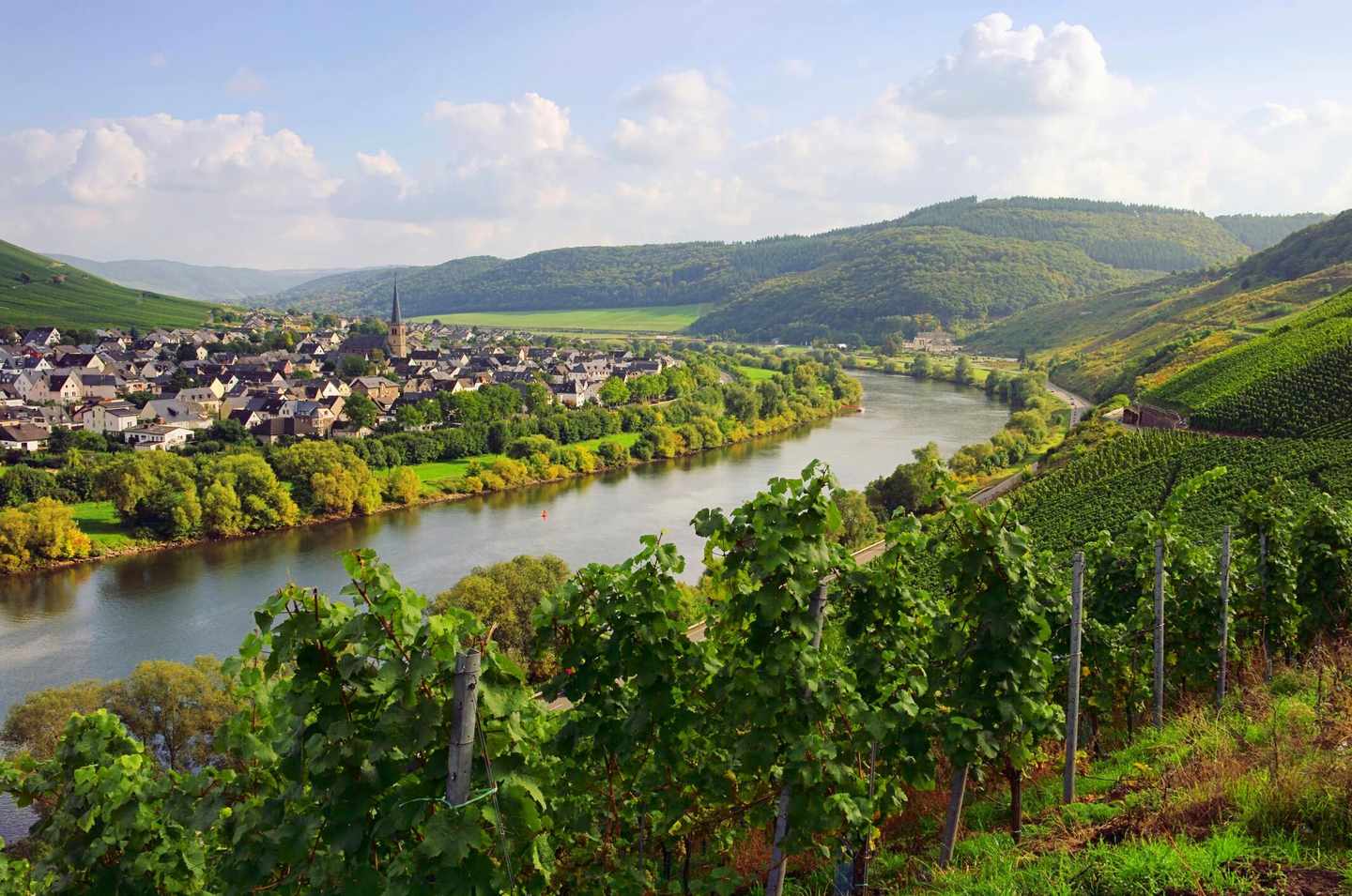 deutschland-mosel-t-525984981.jpg