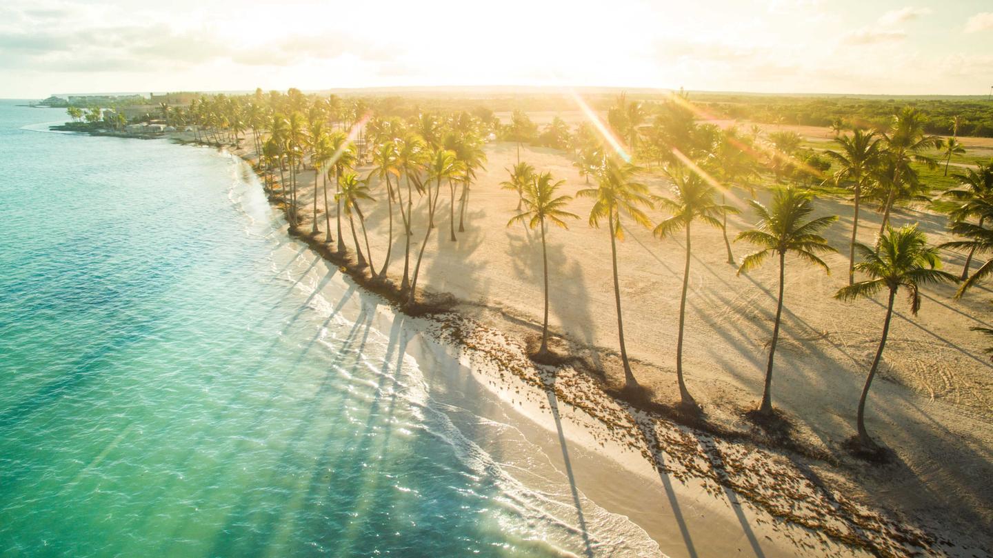 DERTOUR Reisemagazin - Blick auf einen Strand mit Palmen