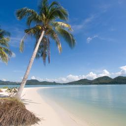 thailand-yao-insel-strand-t-544131946.jpg