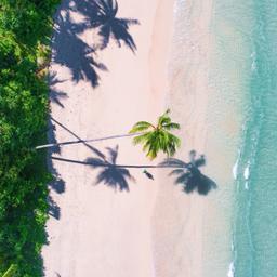 Malediven-Strand-von-oben-g-1864073761_Contentteaser.jpg
