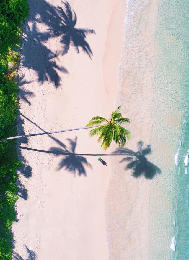 Luftaufnahme von Strand und Palmen, Malediven