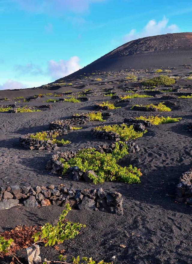 spanien-lanzarote-la-geria-weinberg-g-1273222812.jpg
