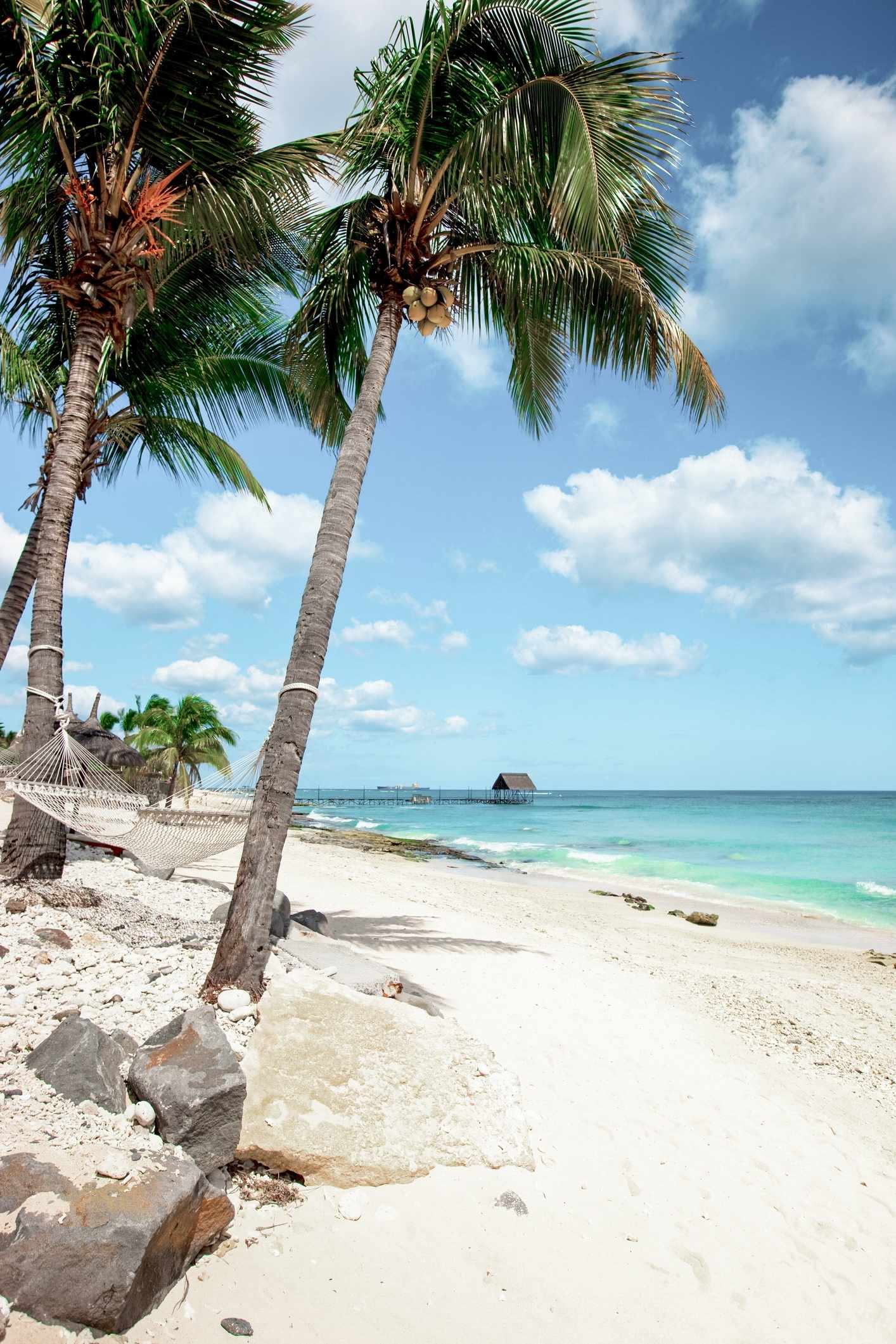 bltac609a489aca39e0-Ostafrika-Mauritius-Strand-g-157506547.jpg Strand mit Palmen