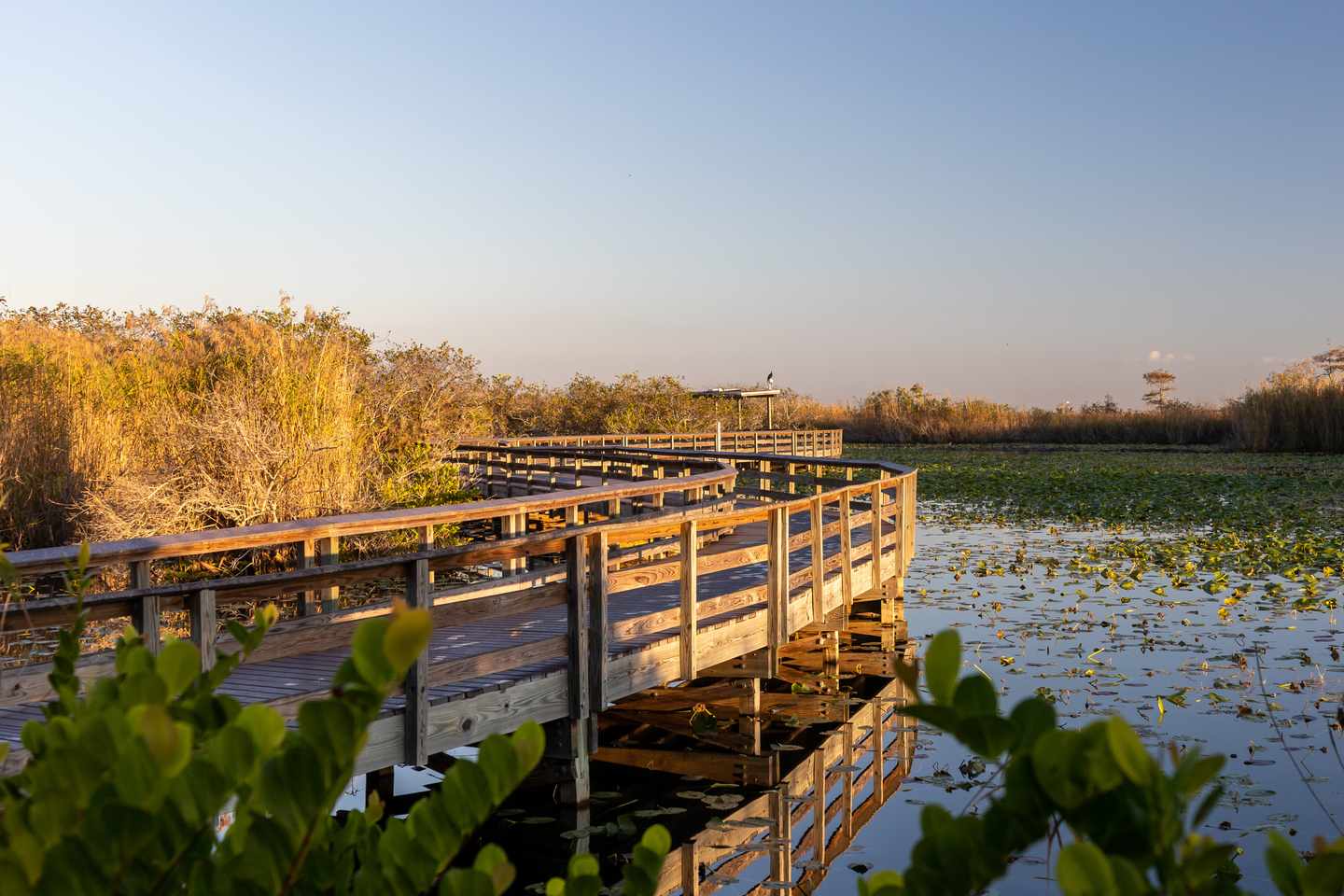 usa-florida-anhinga-trail-boardwalk-durch-nationalpark-g-1370550840.jpg