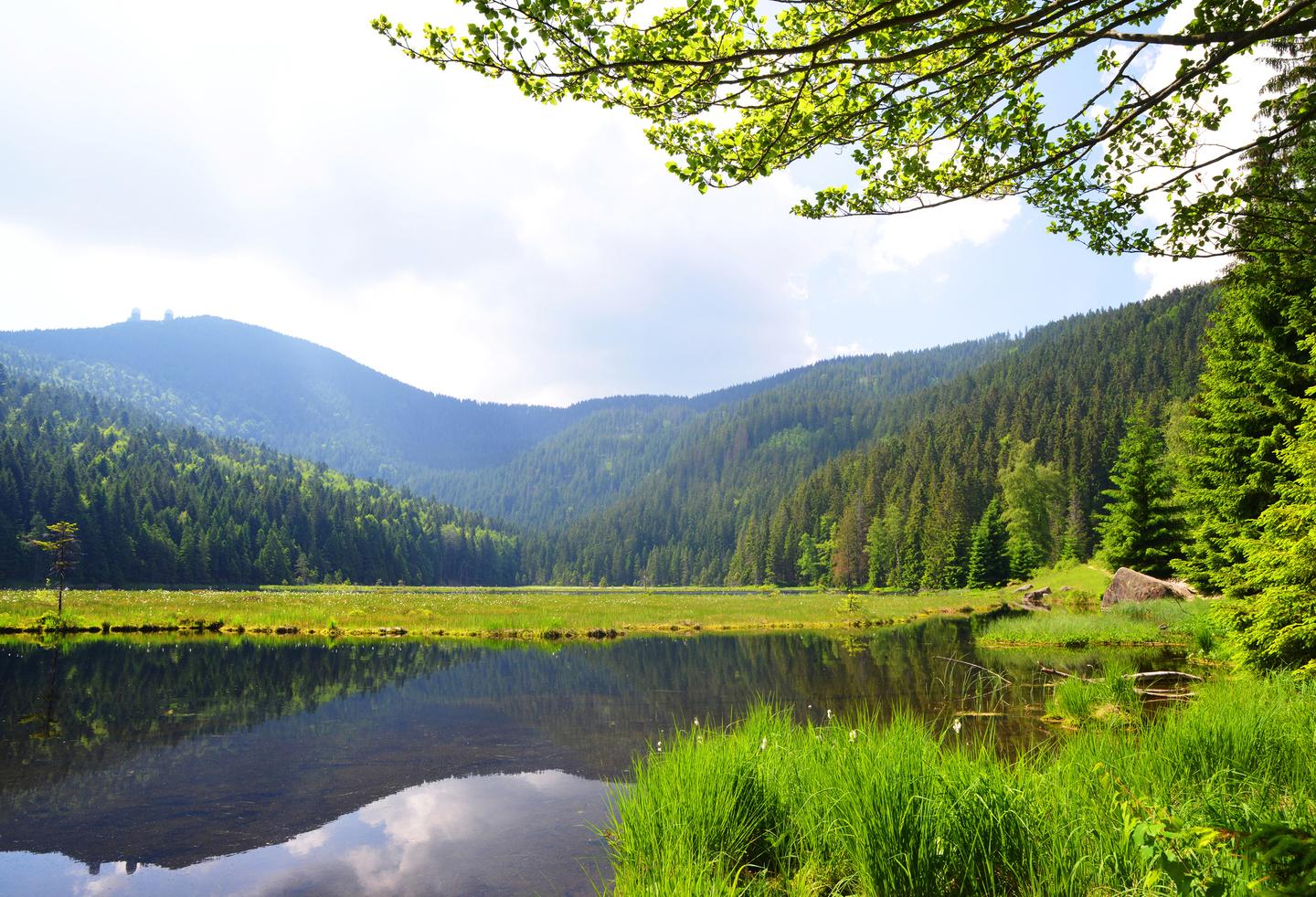 all-inclusive-hotel-bayerischer-wald-g-1143860336.jpg