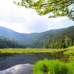 All-inclusive-Hotels im Bayerischen Wald
