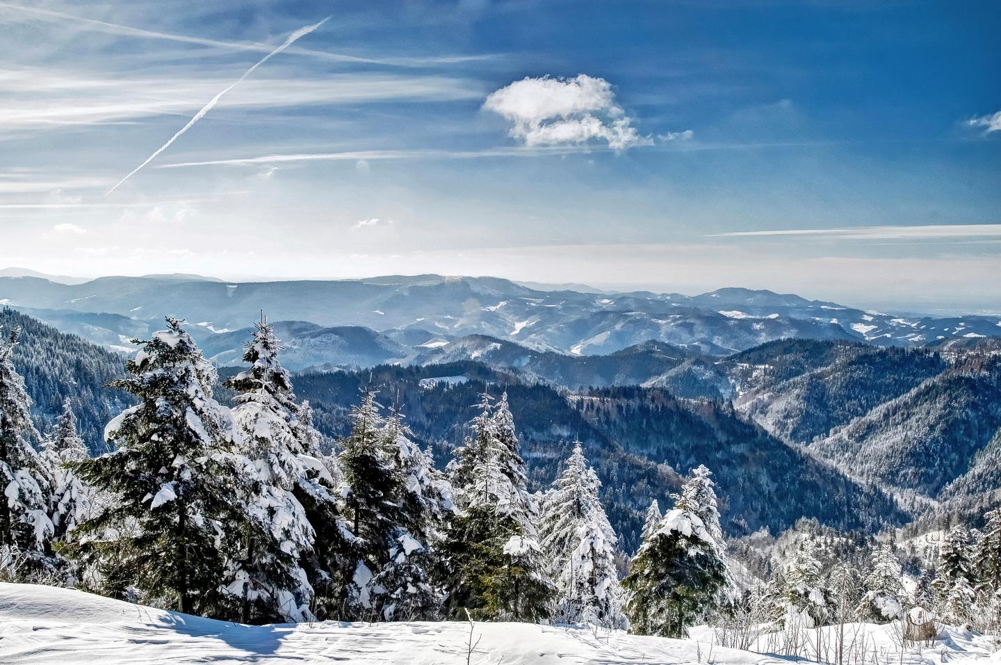 blt34c0af246038c0e6-deutschland-schwarzwald-g-531178489.jpg deutschland-schwarzwald-g-531178489.jpg
