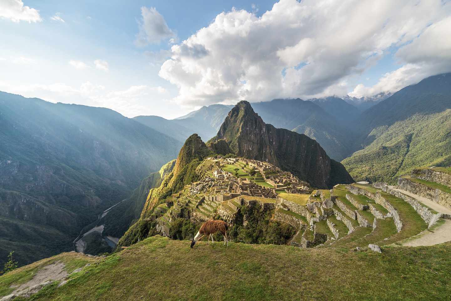 peru-machu-picchu-terrassen-bei-sonnenschein-g-858373544.jpg