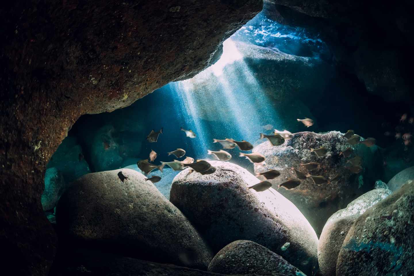 mauritius-blue-bay-sonnenlicht-erhellt-unterwasserhöhle-g-1361939265.jpg