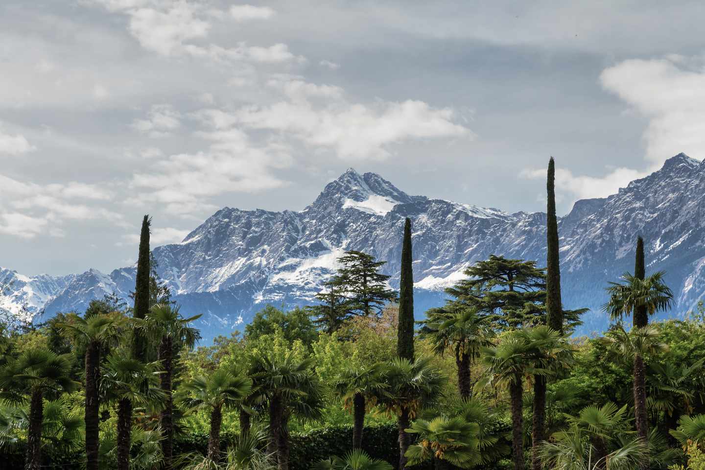 italien-suedtirol-meran-botanischer-garten-g-498511693.jpg