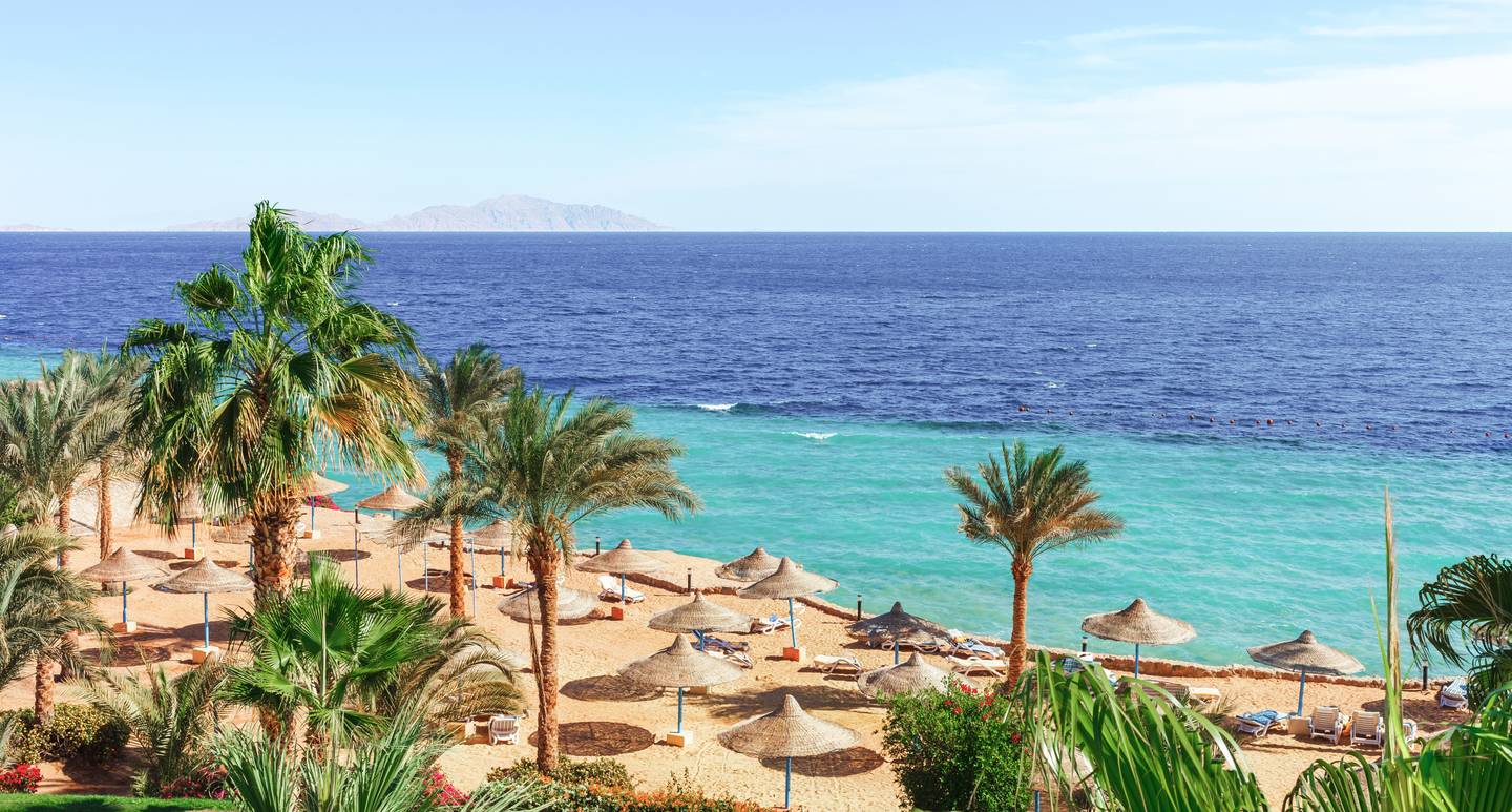 aegypten-strand-und-palmen-g-1492987141.jpg