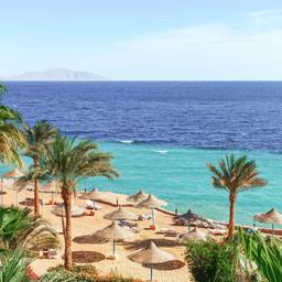 aegypten-strand-und-palmen-g-1492987141.jpg