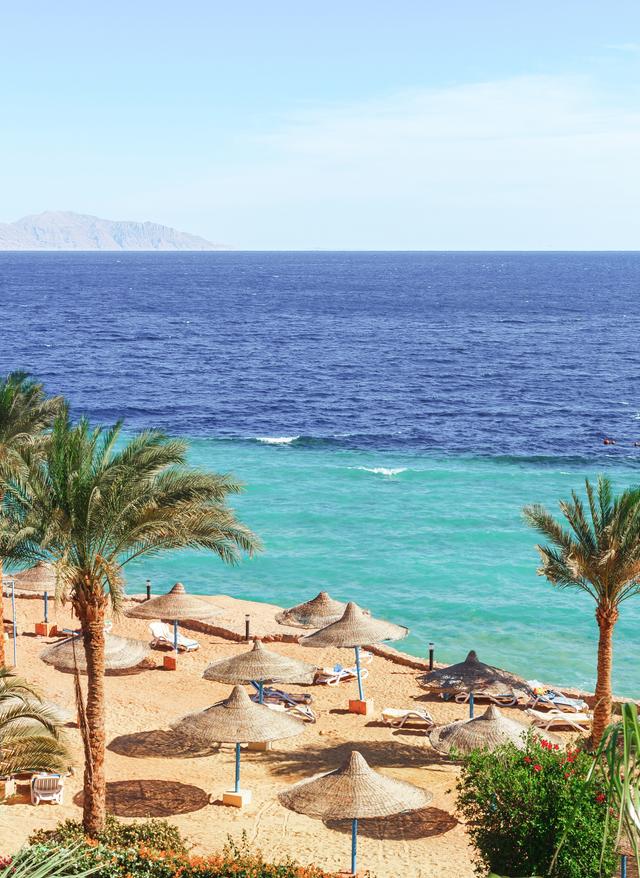 Last Minute nach Ägypten Strand und Palmen am Meer, Ägypten
