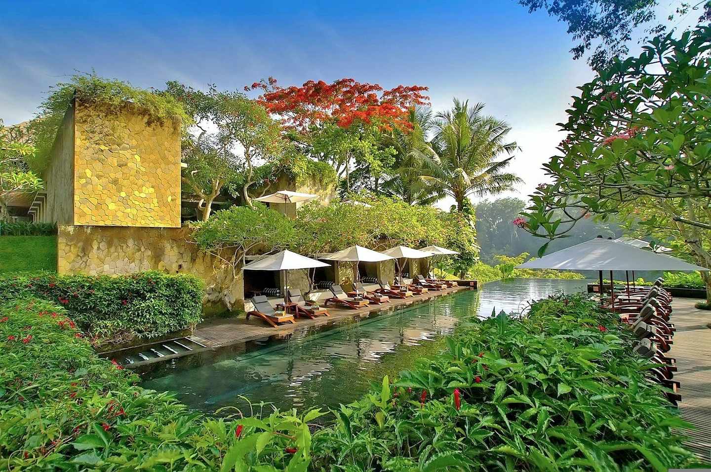 indonesien-bali-maya-ubud-bearbeitet-p-MC47678_E-9666853.jpg