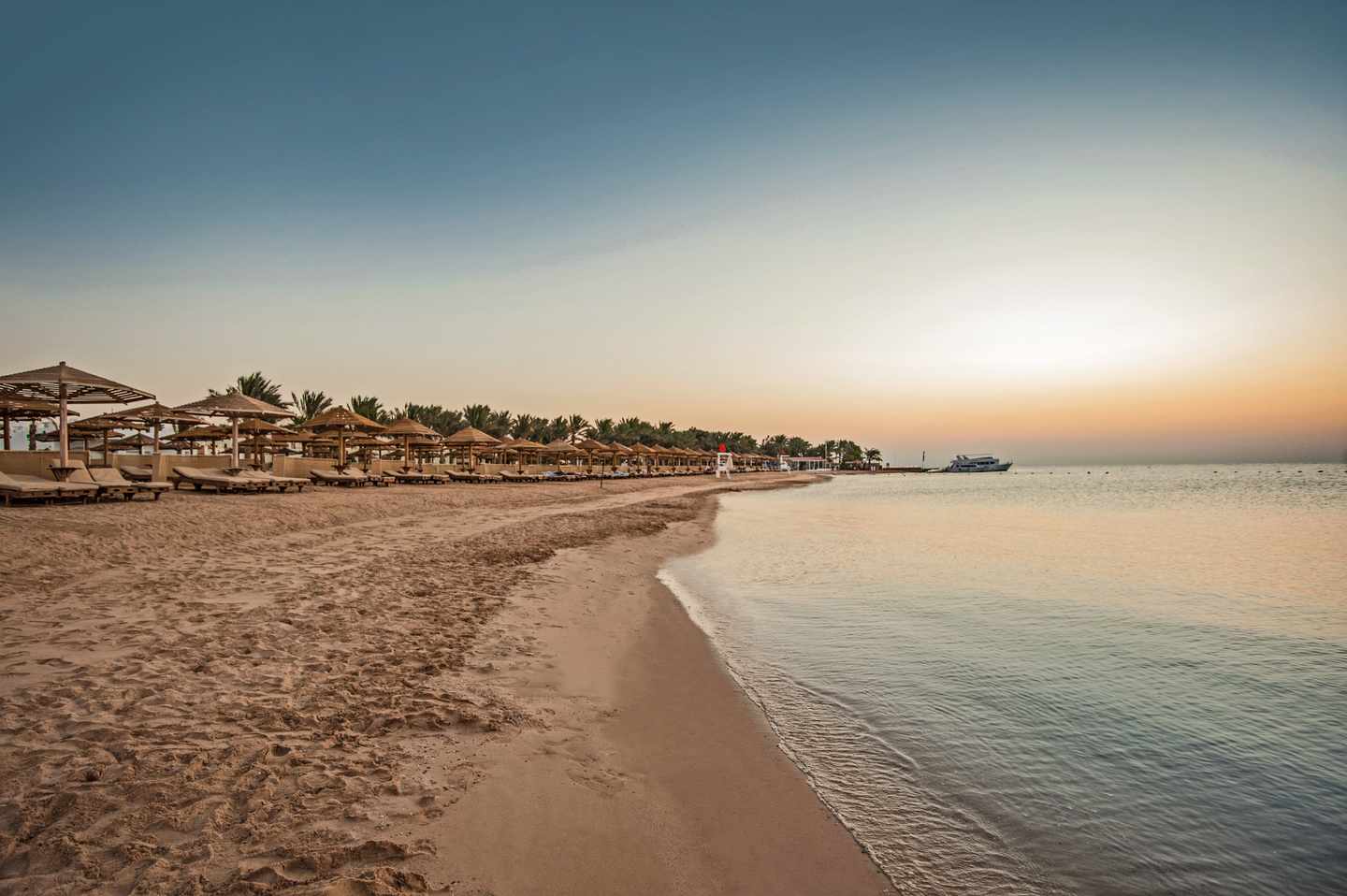 blt6ce7ec1d1d9192ff-aegypten-hotels-mit-hausriff-sunrise-royal-makadi-resort-strand.jpg Privater Strand des Sunrise Royal Makadi Resort