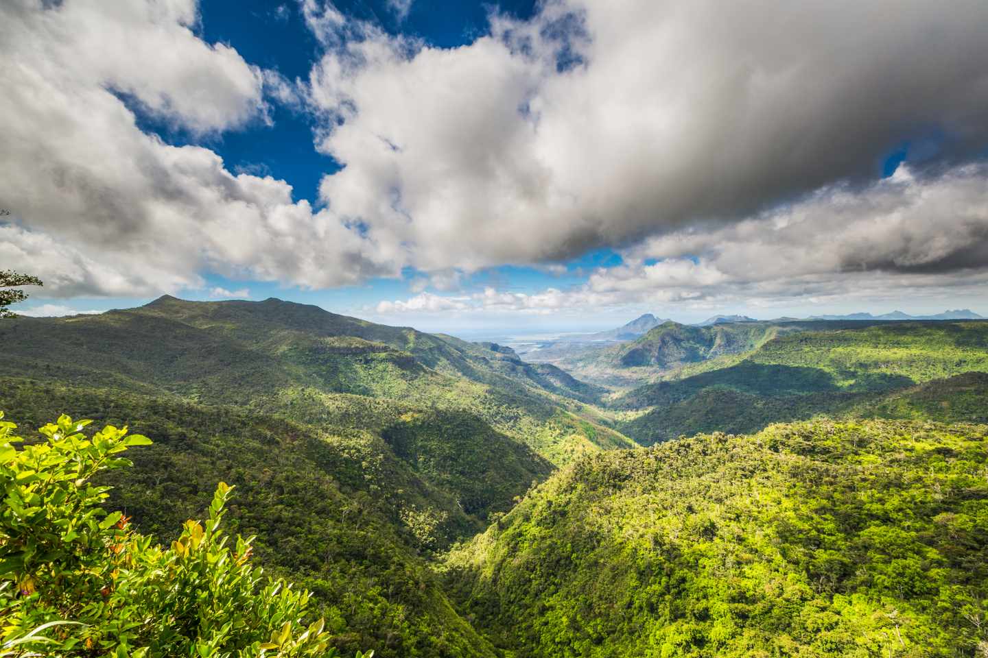 indischer-ozean-mauritius-black-river-gorges-nationalpark-wald-g-1081900866.jpg