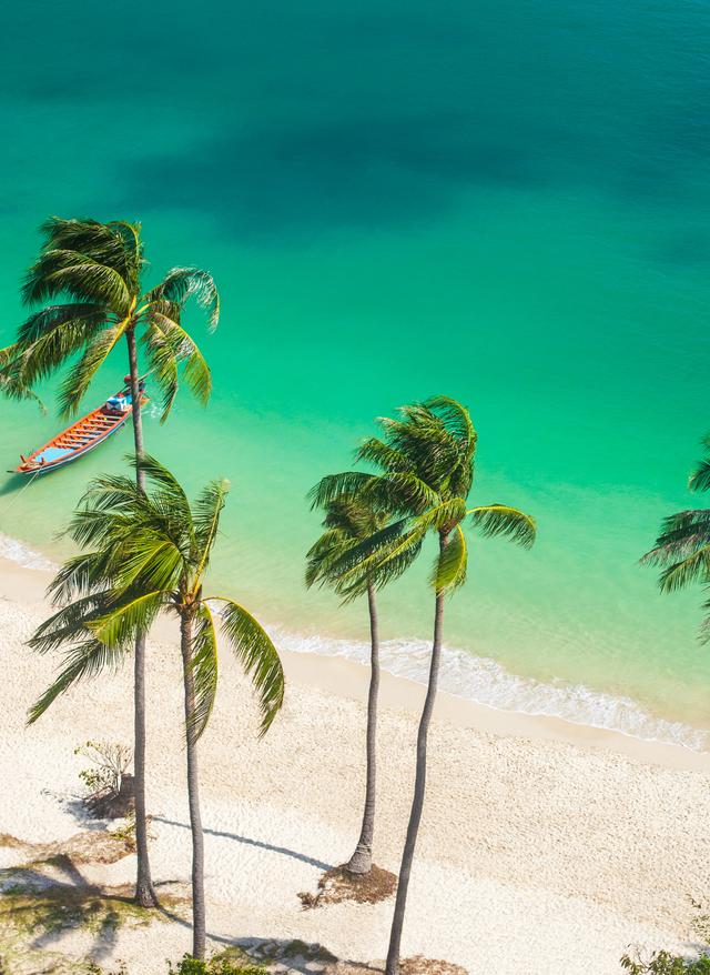 Beste Reisezeit für Koh-Samui thailand-koh-samui-strand-palmen-t-584875614.jpg