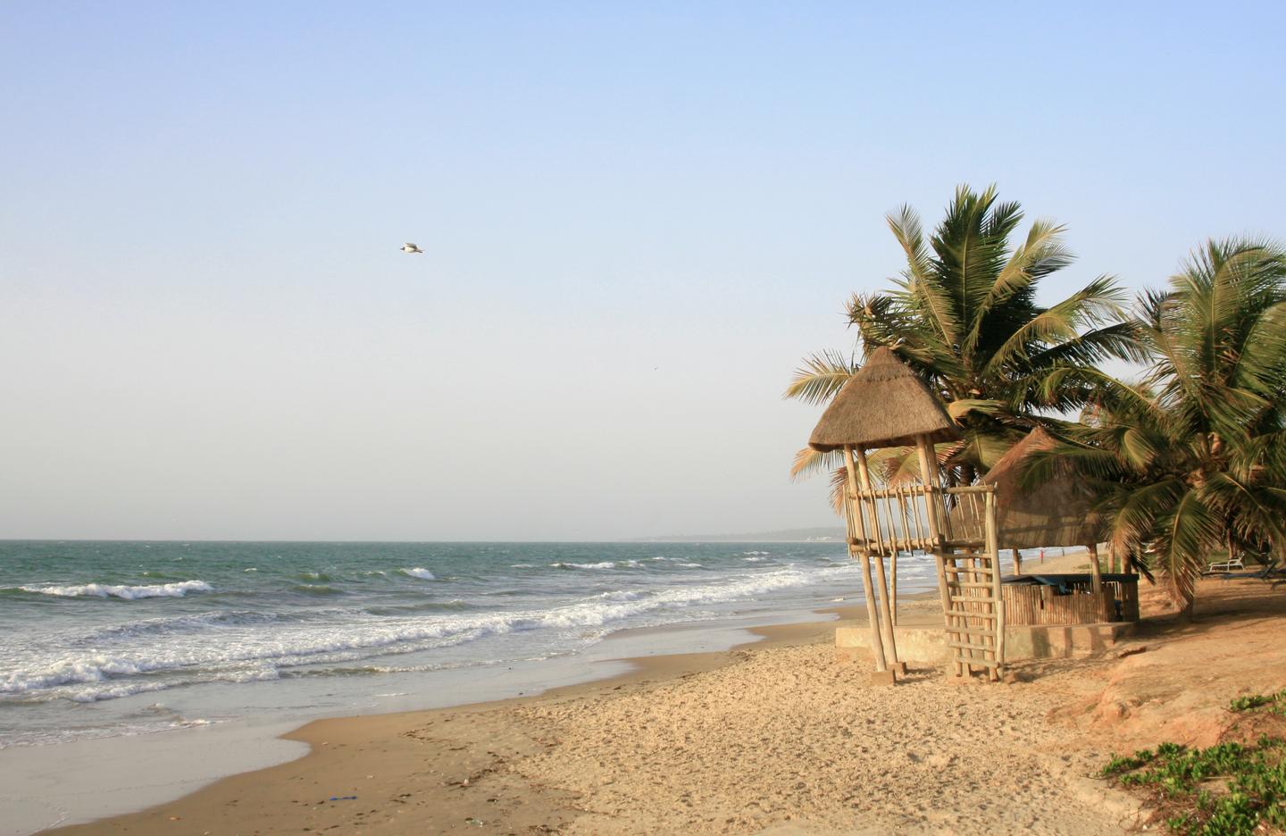 Gambia-Strand-mit-Palmen-g-503087867.jpg