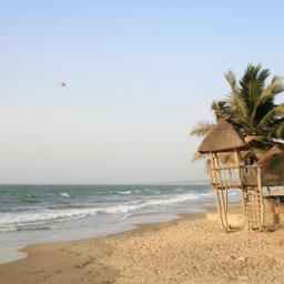 Gambia-Strand-mit-Palmen-g-503087867.jpg