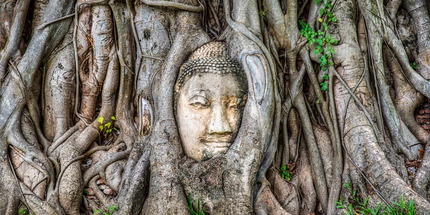 thailand-ayutthaya-buddha-baum-g-1193681023.jpg