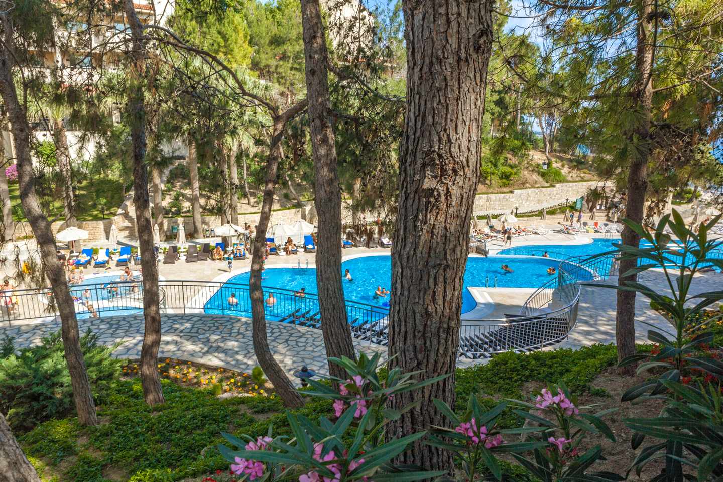 bltc5651a7123281bb7-tuerkei-tuerkische-riviera-side-poolbereich-melas-holiday-village-cmi-der1421433.jpg Poolbereich unter Pinien im Melas Holiday Village