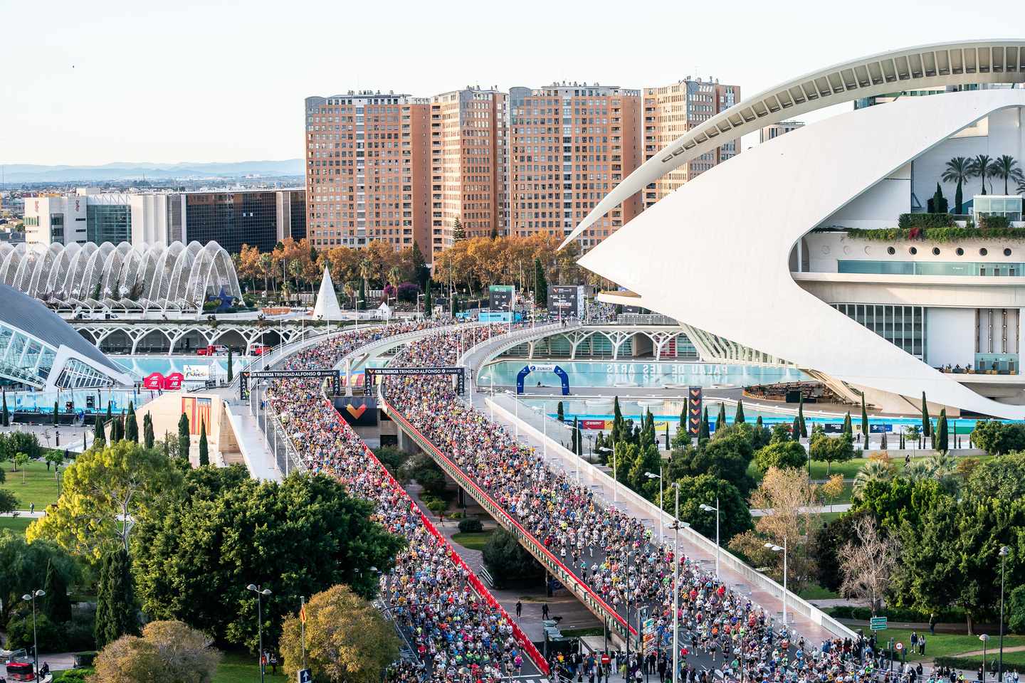 valencia-marathon-salida-2.jpg