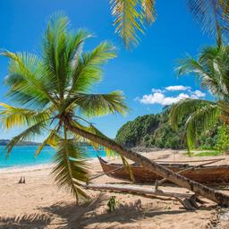 mauritius-nordkueste-strand-palmen-t-466893068.jpg