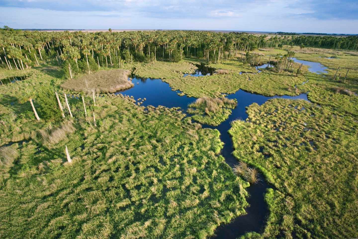 usa-everglades-g-86504980.jpg